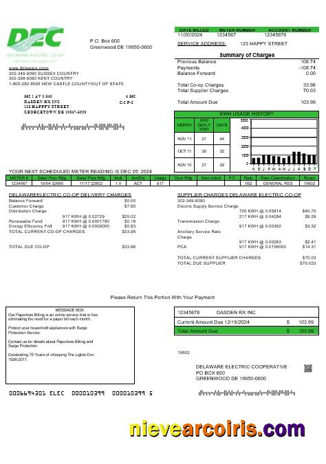 USA Delaware Electric Co-op business utility bill